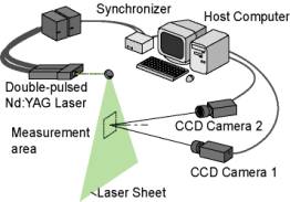 Stereoscopic PIV measurement in cerebral artery mo