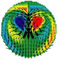Time-resolved Stereo PIV Measurement of Pulsatile