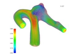 Fluid-structure interaction analysis using finite